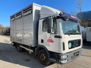 Camion bâché Renault Midlum 220DXI P+P+HF à vendre Hongrie Budapest,  NQ32731 - Laslo Truck